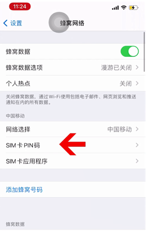 南漳苹果14维修网分享如何给iPhone14的SIM卡设置密码 