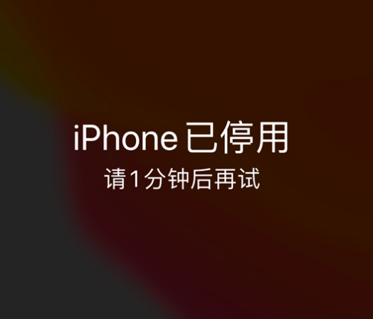 南漳苹果手机维修分享:iPhone 显示“不可用”或“已停用”怎么办？还能保留数据吗？ 