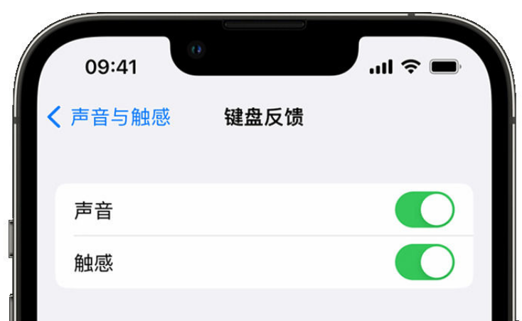 南漳苹果手机维修分享iPhone 14触感键盘使用方法 