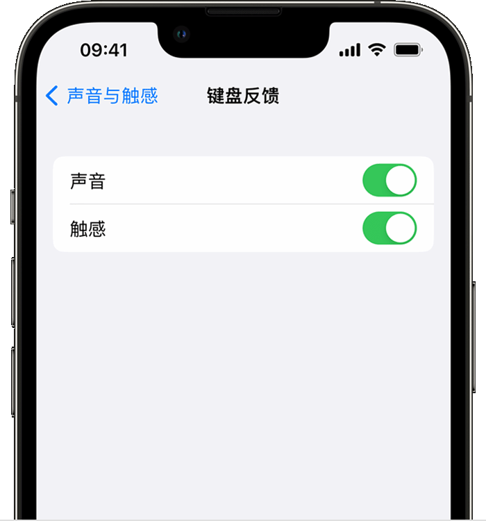 南漳苹果14维修店分享如何在 iPhone 14 机型中使用触感键盘 