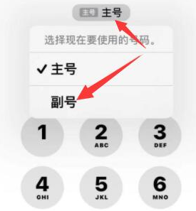 南漳苹果14维修店分享iPhone 14 Pro Max使用副卡打电话的方法 