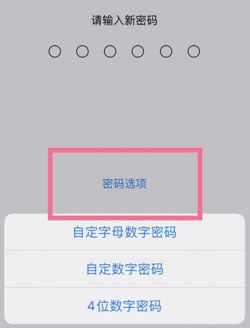 南漳苹果14维修分享iPhone 14plus设置密码的方法 