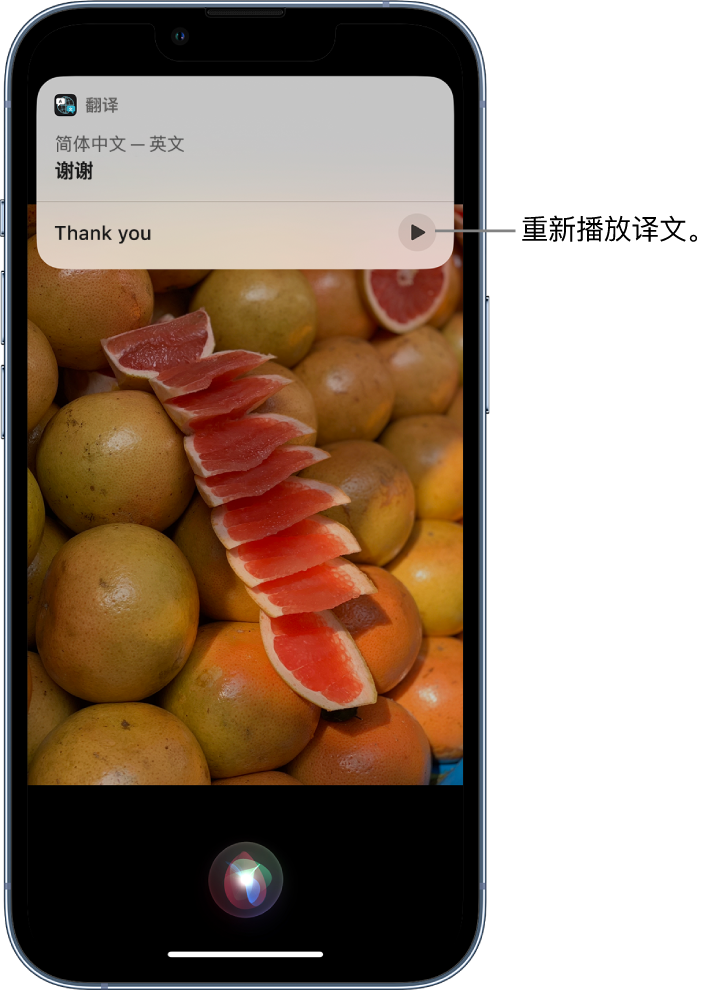 南漳苹果14维修分享 iPhone 14 机型中使用 Siri：了解 Siri 能帮你做什么 